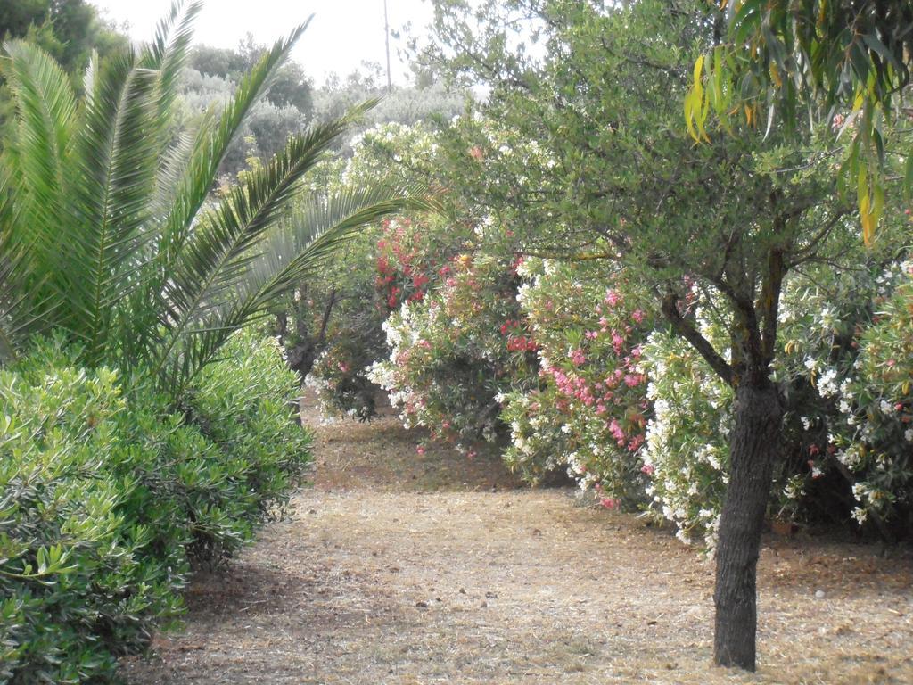 ארמיוני Apartment Koka מראה חיצוני תמונה